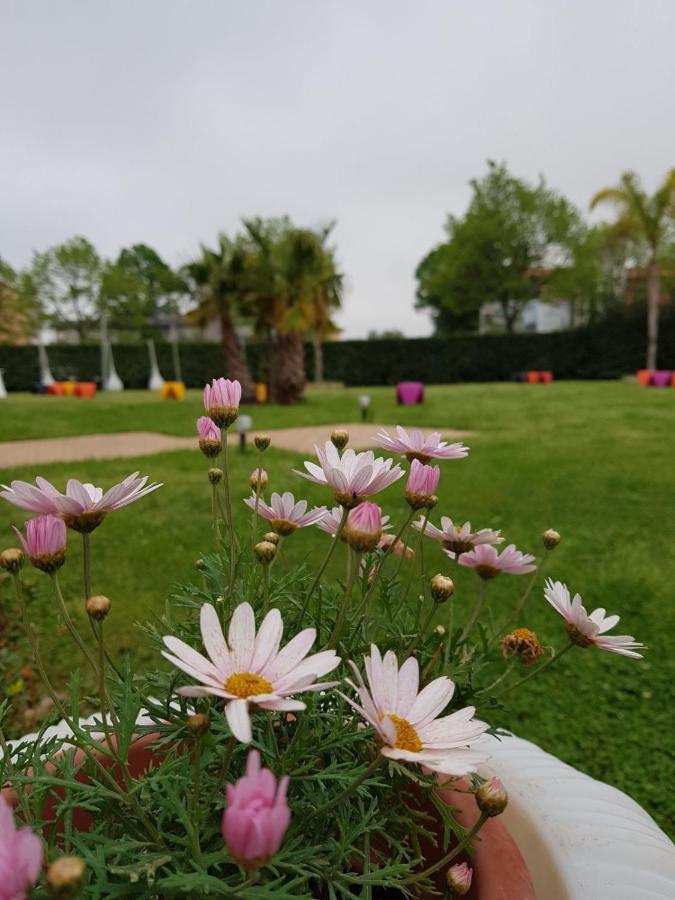 Hotel I Giardini Del Novecento à Lamezia Terme Extérieur photo